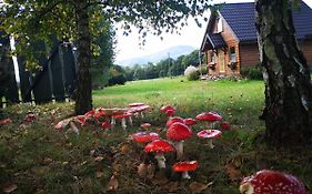 Domek na Kamieńcu